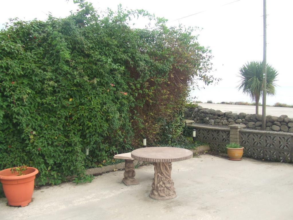 Halfway House Hotel Larne Exterior photo